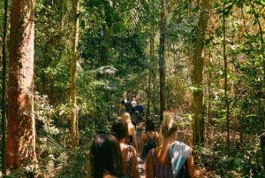 Atherton Tableland Wilderness Tour with Lunch