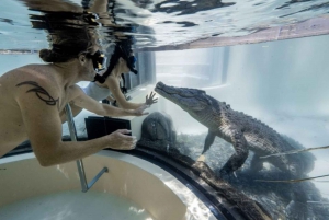 Wildlife, Mossman Gorge + Swim with the Saltwater Crocodiles