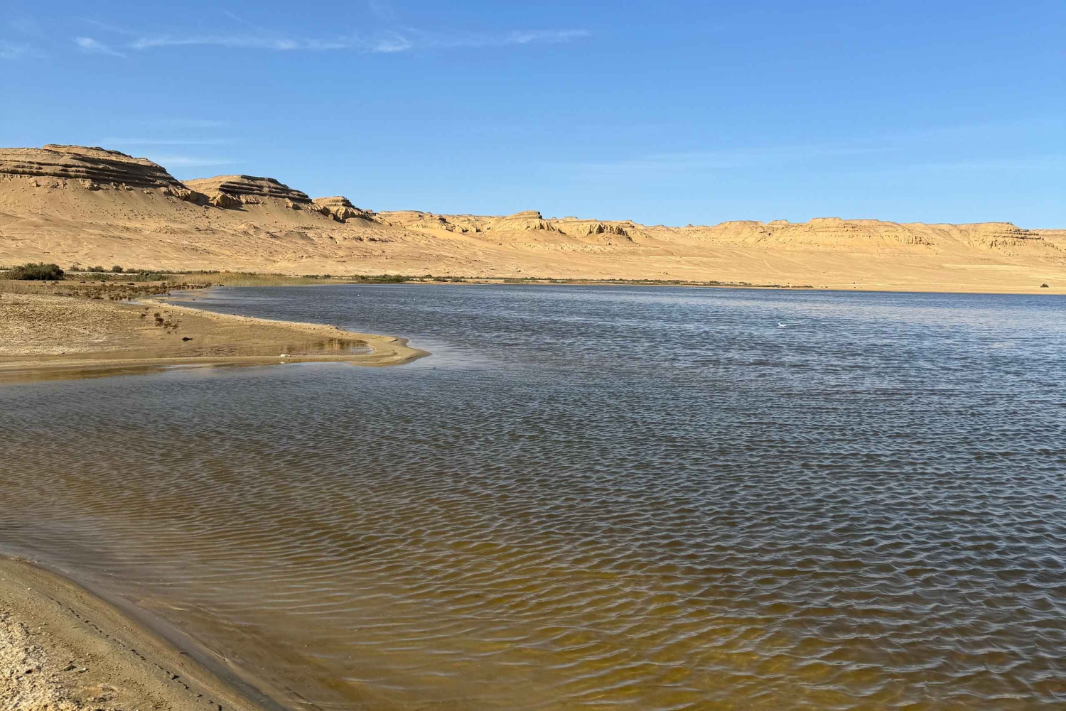 1 Nights 2 Days at Fayoum from Cairo ( 4X4 Car & Quad Bike )