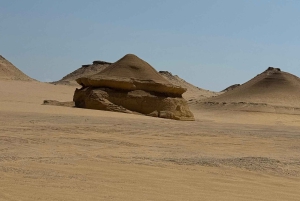 1 Nights 2 Days at Fayoum from Cairo ( 4X4 Car & Quad Bike )