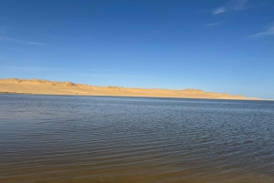 1 Nights 2 Days at Fayoum from Cairo ( 4X4 Car & Quad Bike )