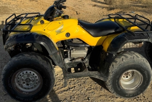 1 Nights 2 Days at Fayoum from Cairo ( 4X4 Car & Quad Bike )