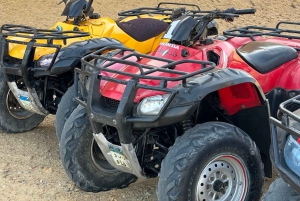 1 Nights 2 Days at Fayoum from Cairo ( 4X4 Car & Quad Bike )