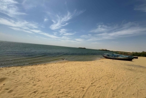 1 Nights 2 Days at Fayoum from Cairo ( 4X4 Car & Quad Bike )