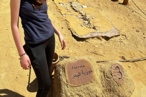 1 Nights 2 Days at Fayoum from Cairo ( 4X4 Car & Quad Bike )