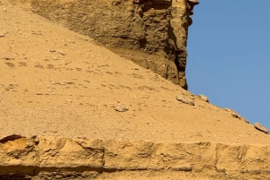 1 Nights 2 Days at Fayoum from Cairo ( 4X4 Car & Quad Bike )