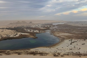 1 Nights 2 Days at Fayoum from Cairo ( 4X4 Car & Quad Bike )