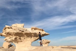 Le Caire : Excursion de 14 jours aux Pyramides, à l'Oasis et à Louxor avec croisière à Assouan