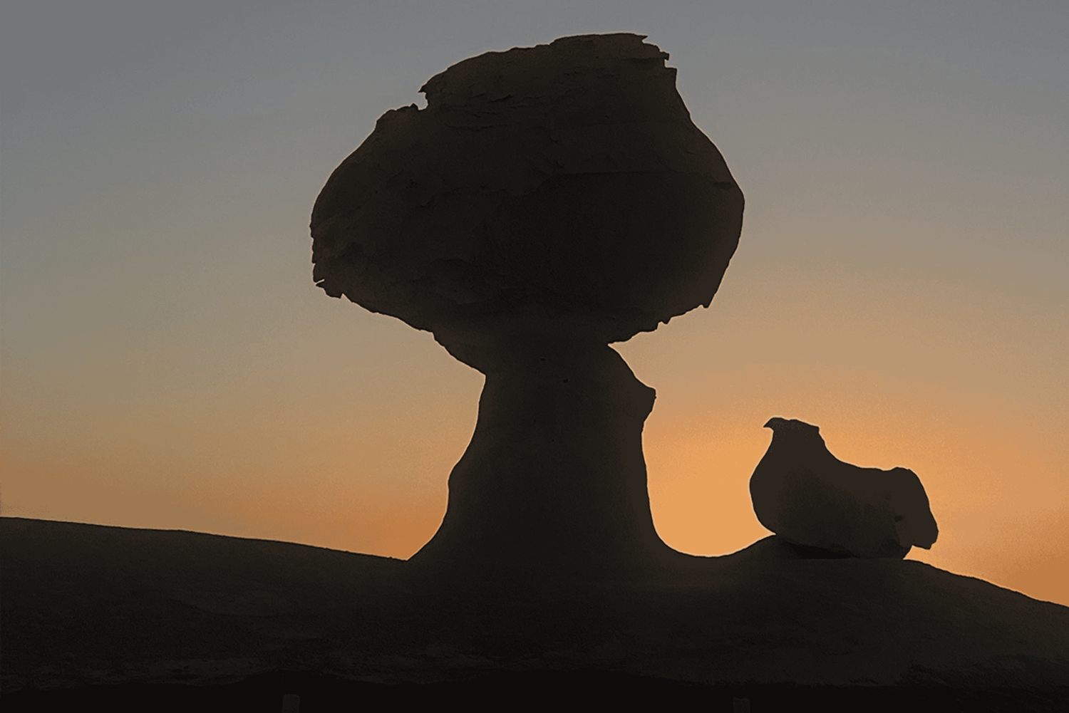 Circuit et activités de 2 jours dans les déserts noirs et blancs