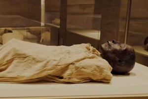 Tour del Cairo di 2 giorni, Piramidi, Musei e Cairo copto