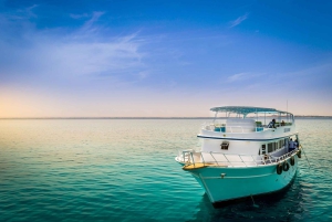 2-дневные туры из Каира в Александрию и Красное море