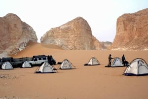 3 dias e 2 noites de visita ao Deserto Branco e Bahariya saindo do Cairo