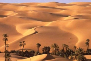 4 Days Trip to El-Fayoum, White Desert and Bahariya Oasis