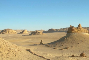4 Days Trip to El-Fayoum, White Desert and Bahariya Oasis
