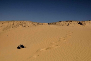 4 Days Trip to El-Fayoum, White Desert and Bahariya Oasis