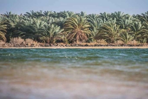 4 Days Trip to El-Fayoum, White Desert and Bahariya Oasis