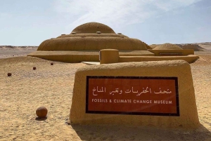 4 Days Trip to El-Fayoum, White Desert and Bahariya Oasis