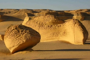 4 Days Trip to El-Fayoum, White Desert and Bahariya Oasis