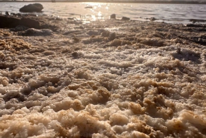 Tour guiado de 5 días por Siwa, Bahariya y el Desierto Blanco