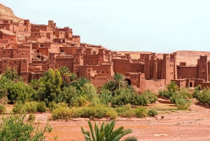 Tour guiado de 5 días por Siwa, Bahariya y el Desierto Blanco