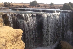 6 dager til El Fayoum-oasen, Den hvite ørkenen og Bahariya-oasen