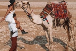Ancient Wonders: Pyramids of Giza& Lunch in Felucca in Nile