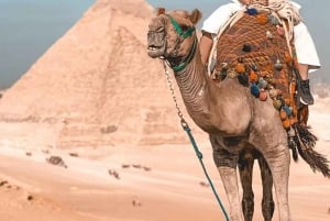 Ancient Wonders: Pyramids of Giza& Lunch in Felucca in Nile