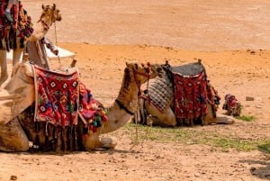 Ancient Wonders: Pyramids of Giza& Lunch in Felucca in Nile