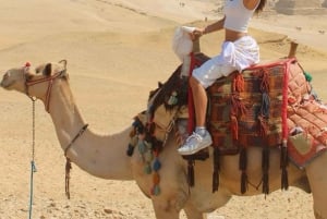 Ancient Wonders: Pyramids of Giza& Lunch in Felucca in Nile