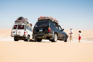 Caïro: 2-daagse Bahariya Oasis Camp en woestijntour