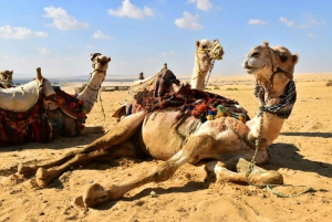Cairo: excursão de 2 dias ao Deserto Branco, Oásis de Bahariya e El-Fayoum