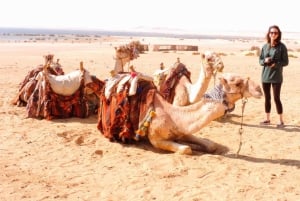 El Cairo: Excursión de 2 días por el Desierto Blanco, el Oasis de Bahariya y El-Fayoum
