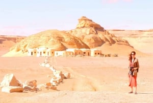Le Caire : Circuit de 2 jours dans le désert blanc, l'oasis de Bahariya et El-Fayoum