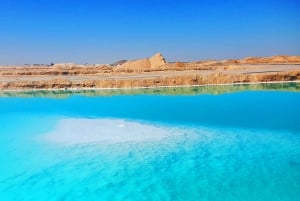 Le Caire : 3 jours d'aventure privée à Siwa, El-Alamein et Safari.