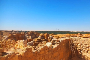 Le Caire : 3 jours d'aventure privée à Siwa, El-Alamein et Safari.