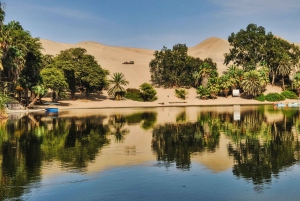 القاهرة: مغامرة خاصة لمدة 3 أيام في سيوة والعلمين والسفاري.