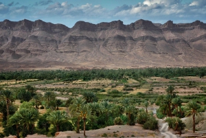 القاهرة: مغامرة خاصة لمدة 3 أيام في سيوة والعلمين والسفاري.