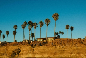 القاهرة: مغامرة خاصة لمدة 3 أيام في سيوة والعلمين والسفاري.