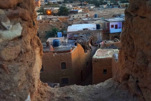 القاهرة: مغامرة خاصة لمدة 3 أيام في سيوة والعلمين والسفاري.