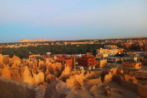 القاهرة: مغامرة خاصة لمدة 3 أيام في سيوة والعلمين والسفاري.