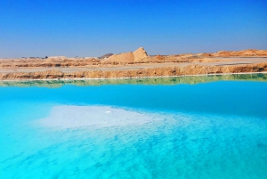 القاهرة: مغامرة خاصة لمدة 3 أيام في سيوة والعلمين والسفاري.