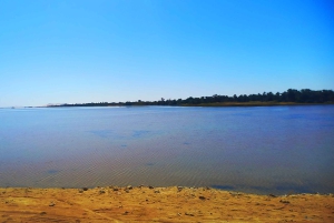 القاهرة: مغامرة خاصة لمدة 3 أيام في سيوة والعلمين والسفاري.