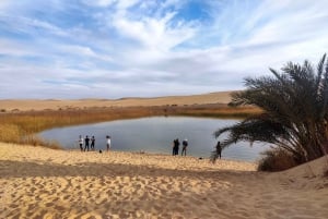 El Cairo: Excursión de 3 días al Oasis de Siwa, Safari, Campamento y Sitio Histórico