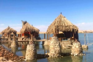 El Cairo: Excursión de 3 días al Oasis de Siwa, Safari, Campamento y Sitio Histórico