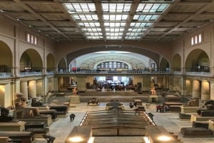 Cairo: 8-dages privat rundrejse i Egypten med fly og krydstogt på Nilen