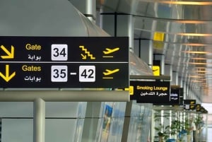 Aeropuerto de El Cairo: Traslado privado de salida/llegada en El Cairo