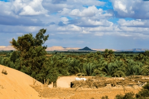 القاهرة: واحة بحرية والصحراء البيضاء مغامرة خاصة لمدة 3 أيام