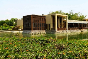 Каир: ночной тур по Каиру и ужин в парке Эль-Азхар