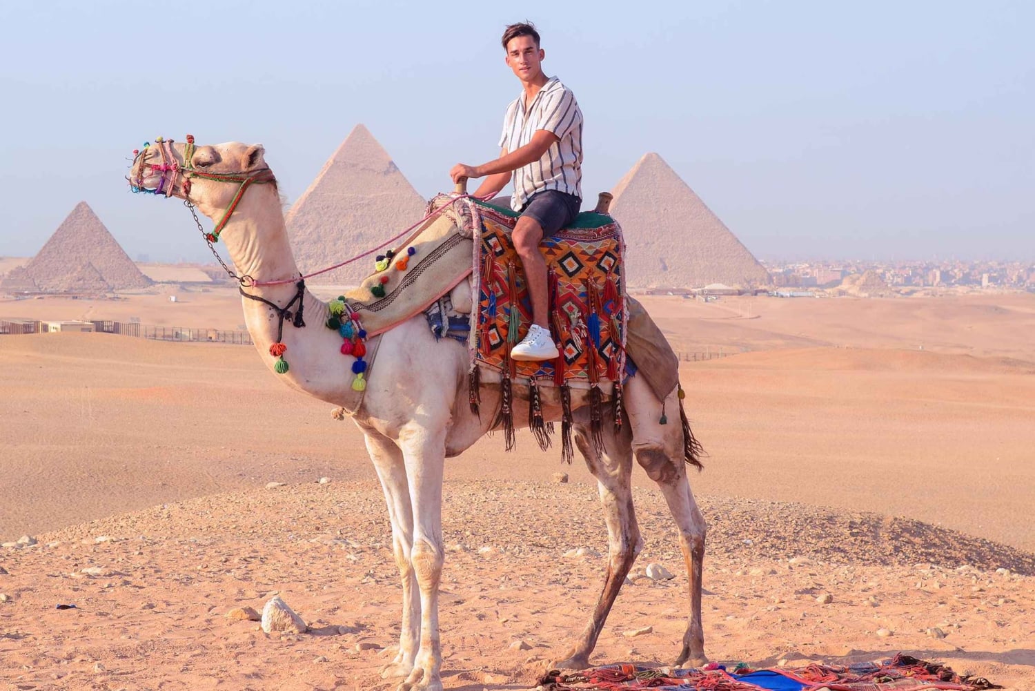 El Cairo: Paseo en camello alrededor de las Pirámides con servicio de recogida del hotel