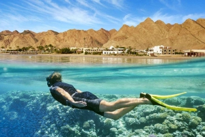 Cairo: Day Tour to the Red Sea with Lunch